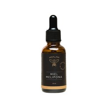 Cargar imagen en el visor de la galería, Miel de abeja melipona beecheii gotero 30 ml - Xcalam