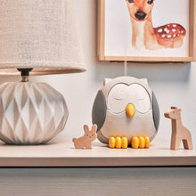 Cargar imagen en el visor de la galería, Difusor Buho - Feather the Owl
