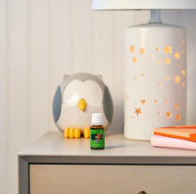 Cargar imagen en el visor de la galería, Difusor Buho - Feather the Owl