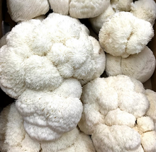 Cargar imagen en el visor de la galería, Melena de León 120 cápsulas - Commons Adaptogenos